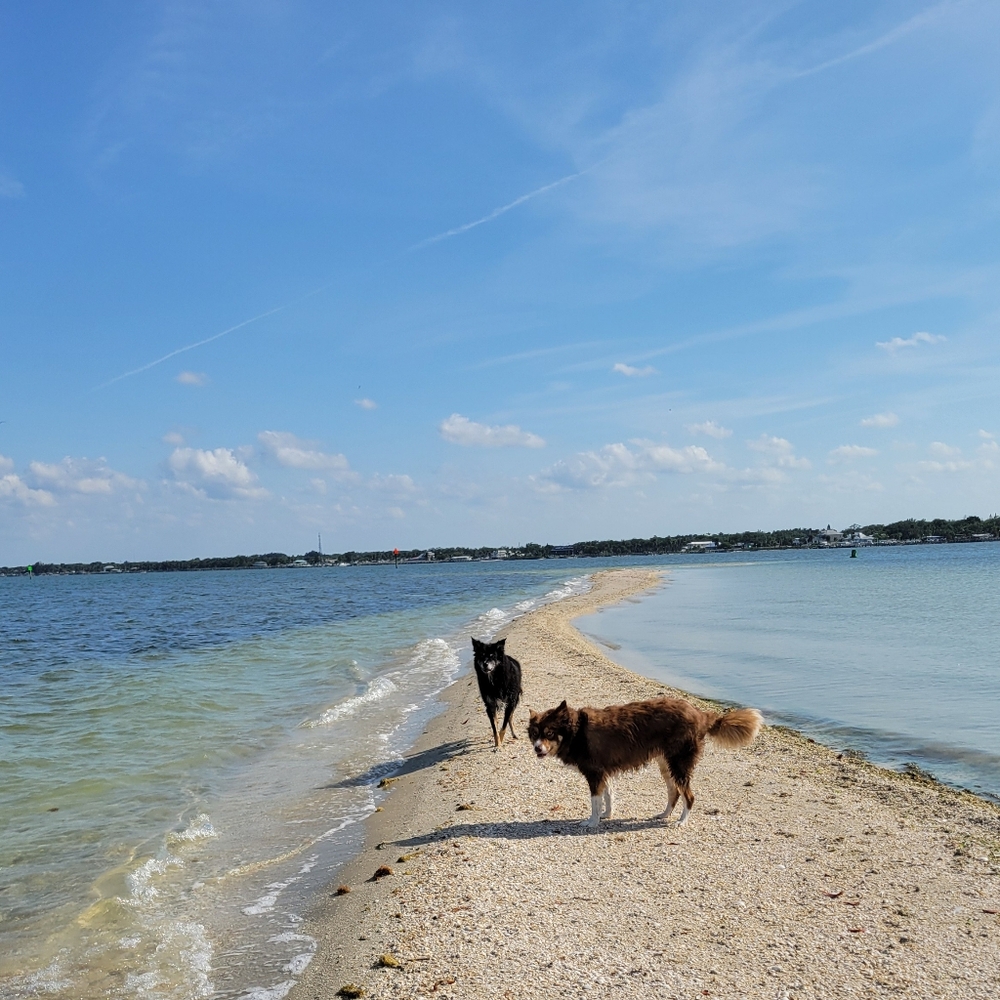 Like This Flyer To Be Notified Of My Next Show - Picture 4 of 6